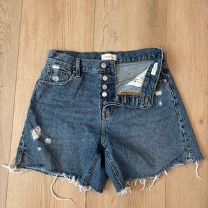 Pacsun High Rise Relaxed Short Button Fly Distressed Frayed Raw Hem 25